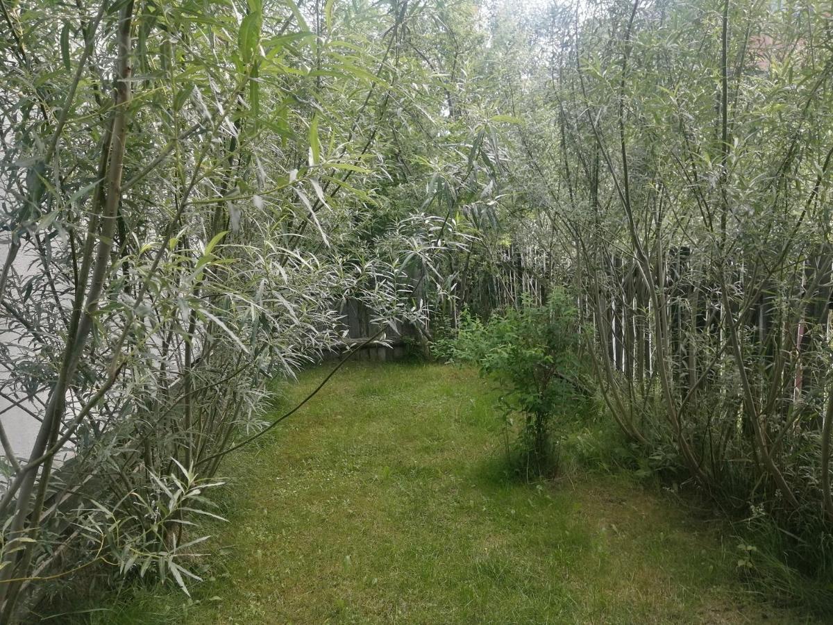 Ferienwohnung Ostoja Białowieża Exterior foto