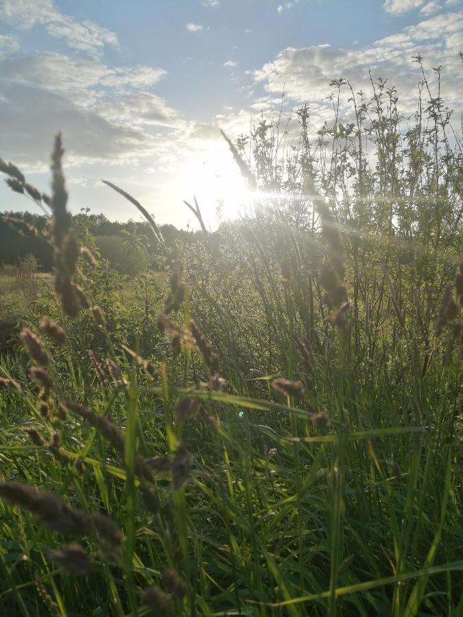 Ferienwohnung Ostoja Białowieża Exterior foto