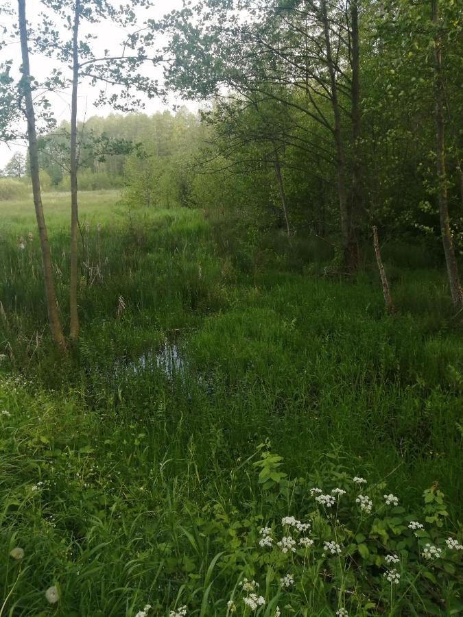 Ferienwohnung Ostoja Białowieża Exterior foto
