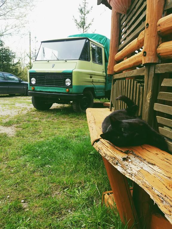 Ferienwohnung Ostoja Białowieża Exterior foto