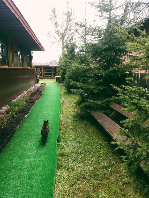 Ferienwohnung Ostoja Białowieża Exterior foto